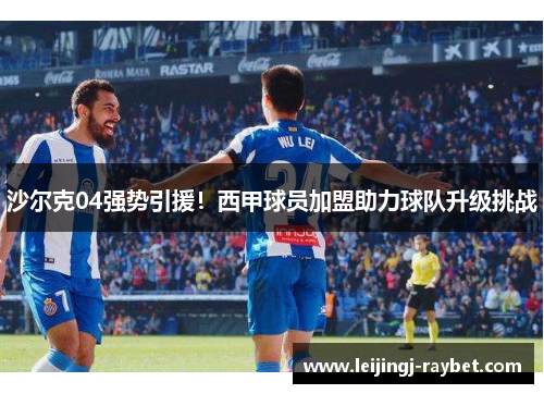 沙尔克04强势引援！西甲球员加盟助力球队升级挑战